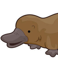 Team Page: Team Platypus and Fraser School